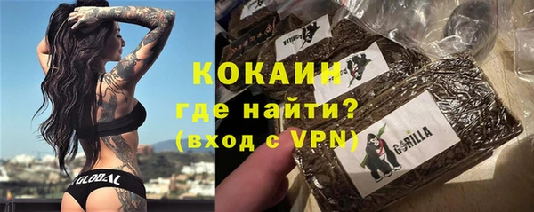 гидра Новозыбков