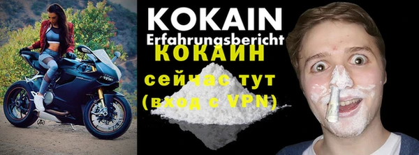 гидра Новозыбков