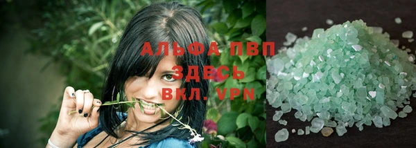 гидра Новозыбков